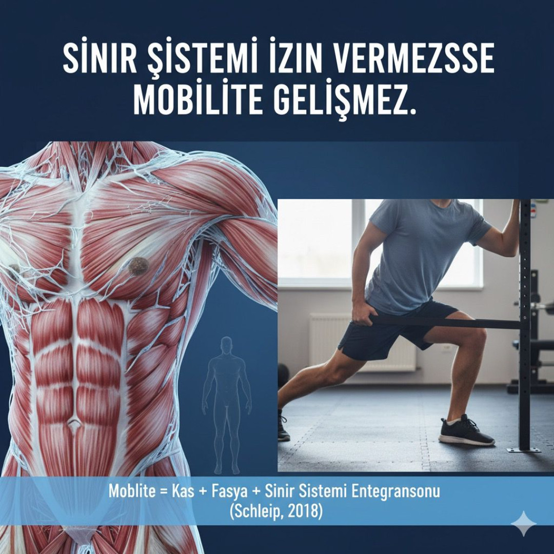 SİNİR SİSTEMİ PATRONDUR